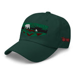Lava Behr Dad hat
