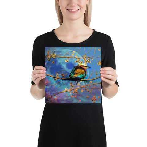 Soungs of Colors- Poster