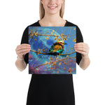 Soungs of Colors- Poster