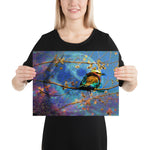 Soungs of Colors- Poster