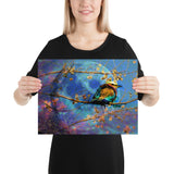 Soungs of Colors- Poster
