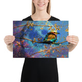 Soungs of Colors- Poster